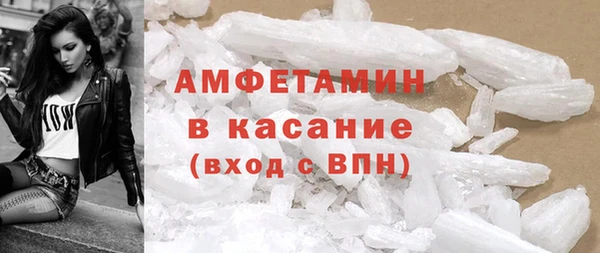 прущие грибы Горнозаводск