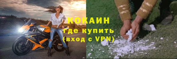 прущие грибы Горнозаводск