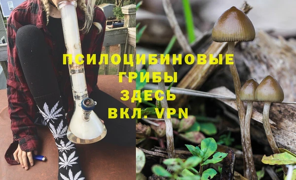 прущая мука Горно-Алтайск
