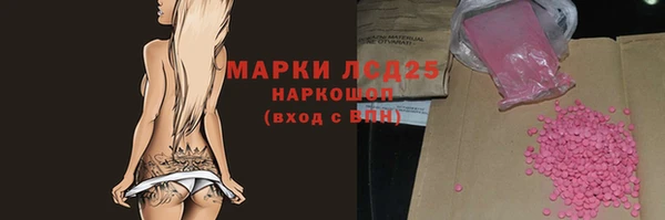 прущие грибы Горнозаводск