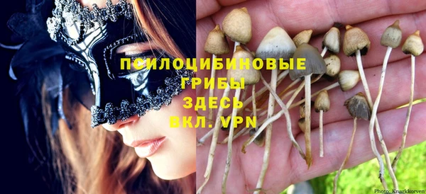 прущие грибы Горнозаводск