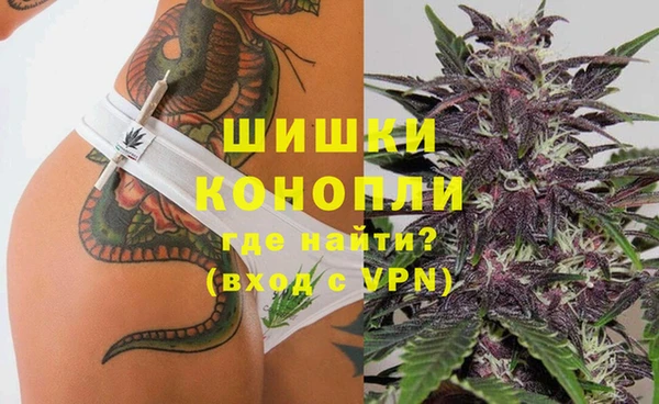 прущие грибы Горнозаводск