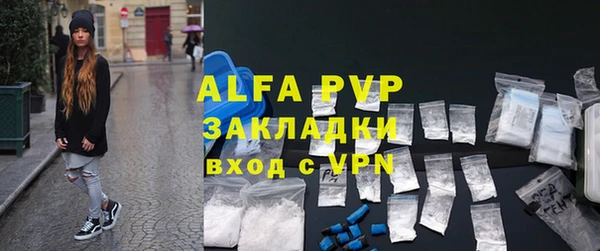 прущие грибы Горнозаводск